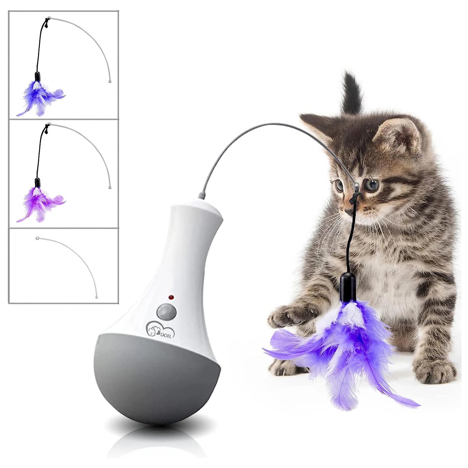 PurrPlay