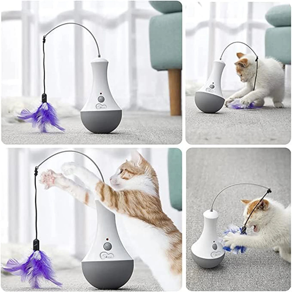 PurrPlay
