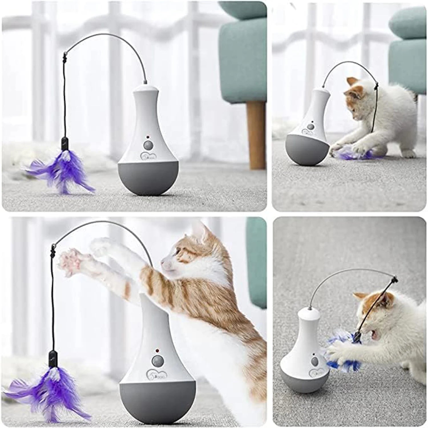 PurrPlay
