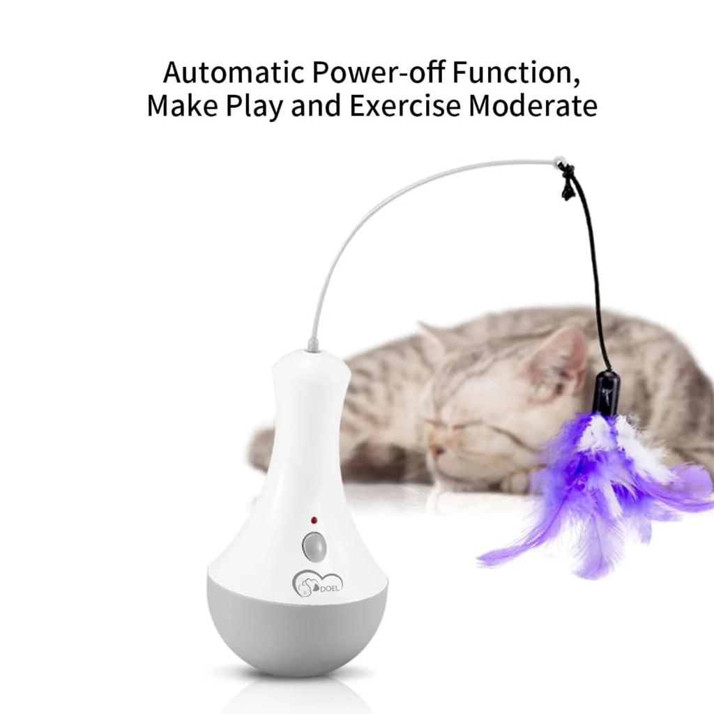 PurrPlay